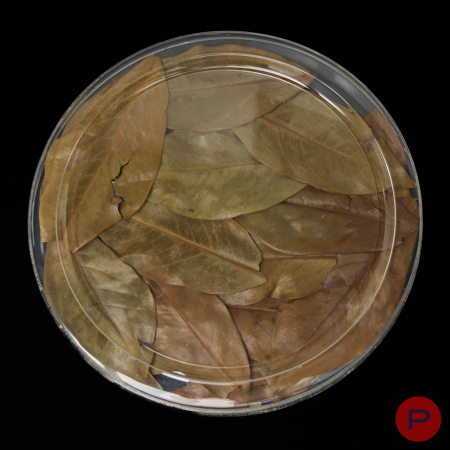 CHRISTIAN DIOR X JEAN-PIERRE FRÈRE - 1980'S