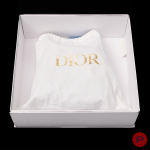 CHRISTIAN DIOR - CIRCA 2024 - SAC