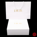 CHRISTIAN DIOR - CIRCA 2024 - SAC