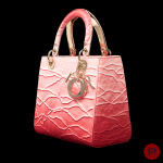 CHRISTIAN DIOR X MINJUNG KIM - CIRCA 2023 - SAC