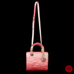 CHRISTIAN DIOR X MINJUNG KIM - CIRCA 2023 - SAC