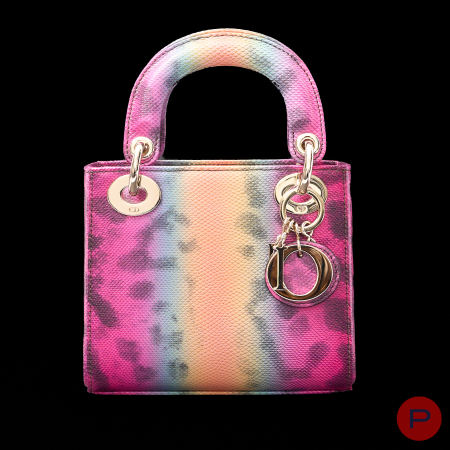 CHRISTIAN DIOR - CIRCA 2023 - SAC