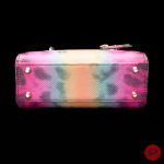 CHRISTIAN DIOR - CIRCA 2023 - SAC