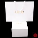 CHRISTIAN DIOR - CIRCA 2023 - SAC
