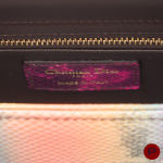 CHRISTIAN DIOR - CIRCA 2023 - SAC