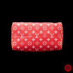 LOUIS VUITTON X PHARRELL WILLIAMS - PRINTEMPS-ÉTÉ 2024 - SAC