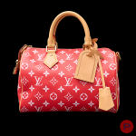 LOUIS VUITTON X PHARRELL WILLIAMS - PRINTEMPS-ÉTÉ 2024 - SAC