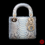 CHRISTIAN DIOR - 2023 - SAC