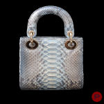 CHRISTIAN DIOR - 2023 - SAC