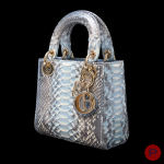 CHRISTIAN DIOR - 2023 - SAC