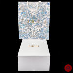 CHRISTIAN DIOR - 2023 - SAC