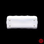 CHRISTIAN DIOR - CIRCA 2023 - SAC