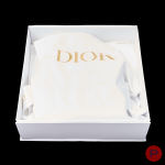 CHRISTIAN DIOR - CIRCA 2023 - SAC