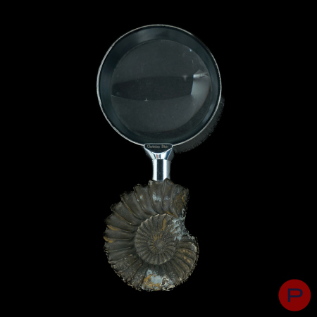 CHRISTIAN DIOR X JEAN-PIERRE FRÈRE - CIRCA 1990