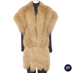 YVES SALOMON - ÉTOLE