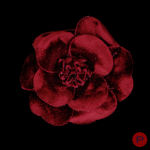 CHANEL- BROCHE