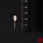 DIOR HOMME - AUTOMNE-HIVER 2003/04- ÉPINGLE DE VESTE