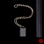 LANVIN X ATTRIBUÉ(E)(S) - 1970'S