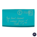 YVES SAINT LAURENT RIVE GAUCHE X STEFANO PILATI - 2008 - POCHETTE