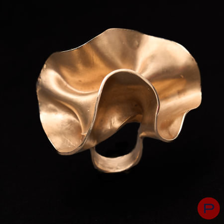 ALINA ALAMOREAN - 2024- BAGUE