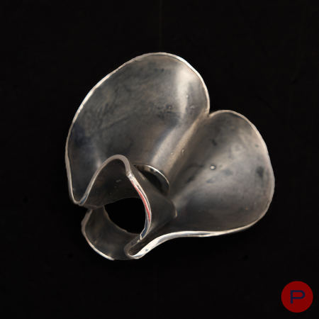 ALINA ALAMOREAN - 2010- BAGUE