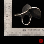 ALINA ALAMOREAN - 2010- BAGUE