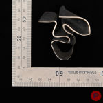 ALINA ALAMOREAN - 2010- BAGUE