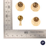 ARTHUS BERTRAND - 1974, 1994, 1998- PIN'S