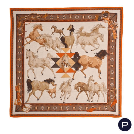 HERMÈS X HUBERT DE WATRIGANT - GRAND CARRÉ