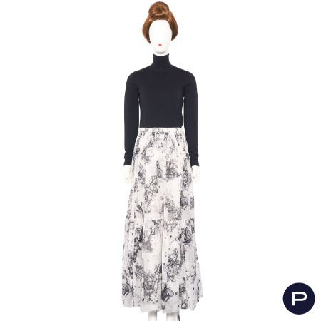 CHRISTIAN DIOR X MARIA GRAZIA CHIURI - RESORT 2021 - JUPE, FOND DE JUPE