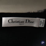 CHRISTIAN DIOR X MARIA GRAZIA CHIURI - PRE-FALL 2024 - JUPE