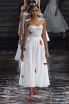 CHRISTIAN DIOR X MARIA GRAZIA CHIURI - CIRCA 2024 - JUPE