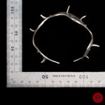 ALINA ALAMOREAN - 2011- BRACELET