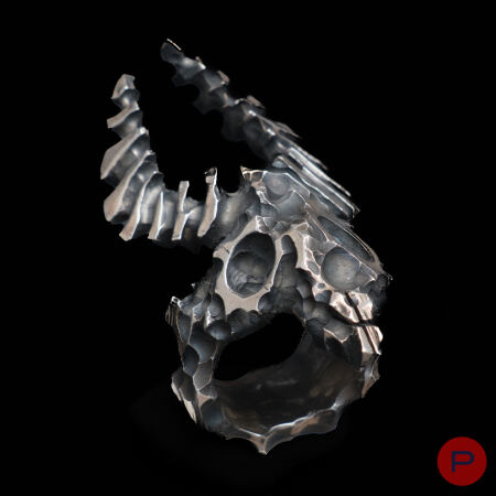 ALINA ALAMOREAN - 2013- BAGUE