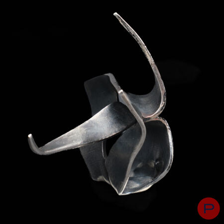 ALINA ALAMOREAN - 2010- BAGUE