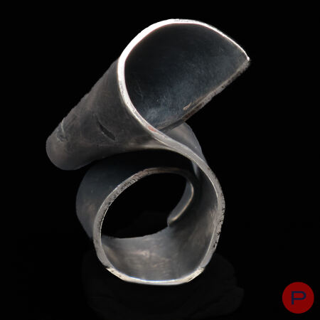 ALINA ALAMOREAN - 2010- BAGUE