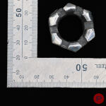 ALINA ALAMOREAN - 2015- BAGUE