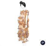 ISSEY MIYAKE - AUTOMNE-HIVER 2002/03 - ROBE